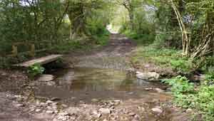 John Musgrave trail near Marldon