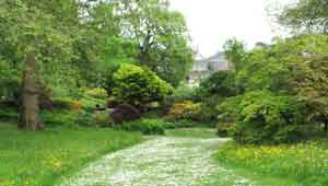 dartington gardens