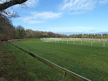 Haldon Racecourse