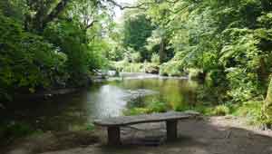 River Fowey