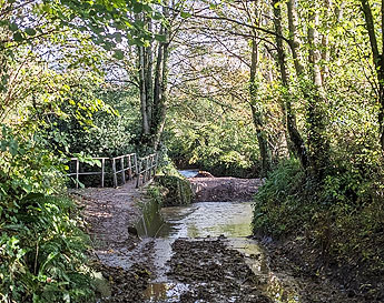 alphington brook ford