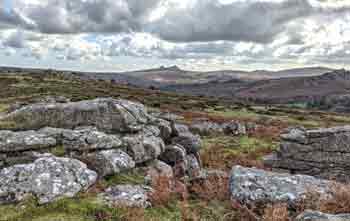 View from Bowermans Nose