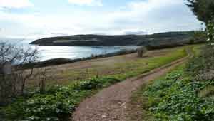 South West Coastal Path