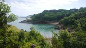 churston cove