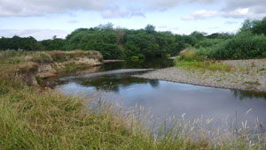 River Teign