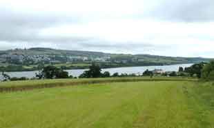 Teign Estuary