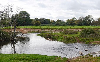 River Culm