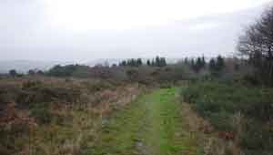 tramway to hawkerland