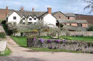 hayes barton,walter raleigh