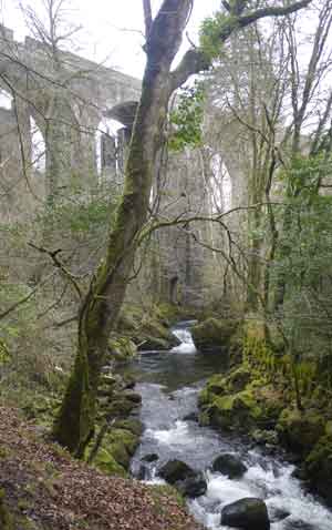 brunel viaduct ivybridge