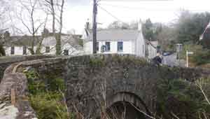 the ivy clad bridge