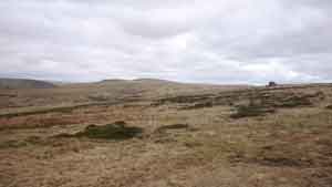 undulating moorland