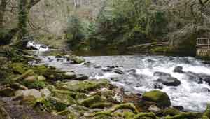 river erme