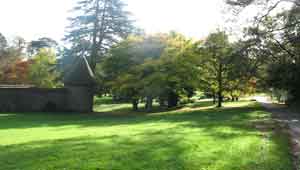 wall garden at knightshayes