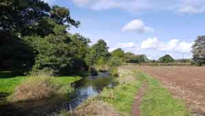 River Coly