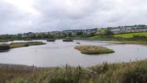 Seaton Wetlands