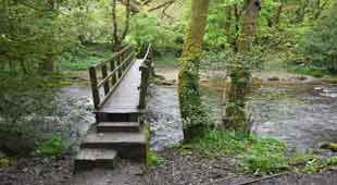 Foot Bridge across the Taw