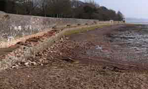 storm damage february 2014 .path has been fully repaired