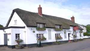Woodbury Salterton Pub