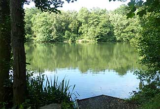 Little Bradley Ponds