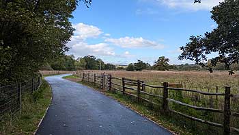 Clyst Meadows