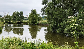 Darts Farm Lake