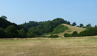 nr Doddiscombsleigh