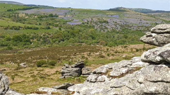 View from Emsworthy Rocks of hill covered in bluebells.