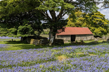 Emsworthy Barn