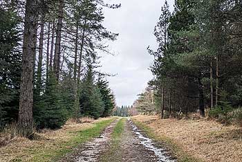 Haldon Service Station Walk