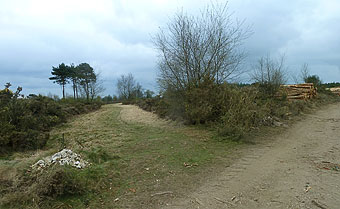Mutters Moor