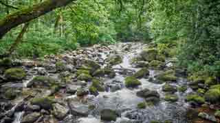 River Plym