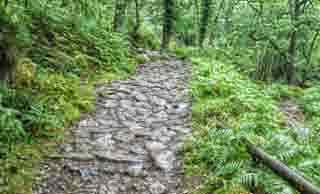 Cobbled Path