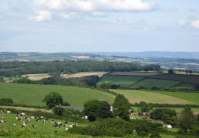 View of East Devon