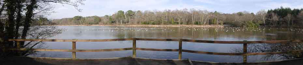 Stover Park Lakes