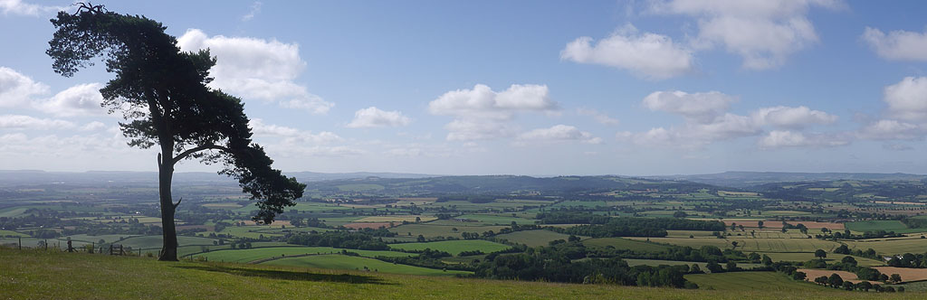 View from Raddon Hills