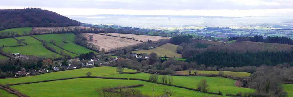 Harpford