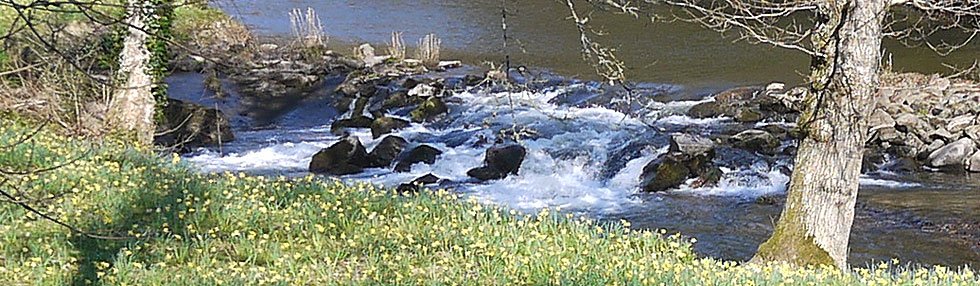 River Teign