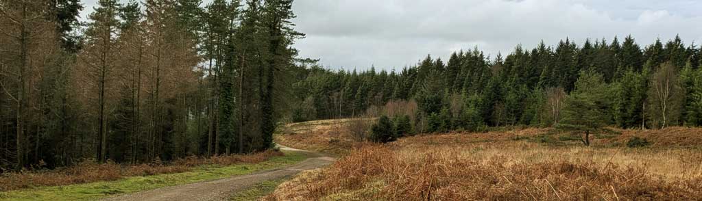Haldon Service Station Walk