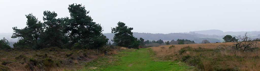 Hawkerland