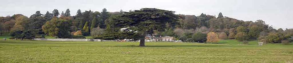 Killerton Estate
