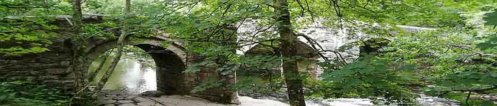 Newbridge