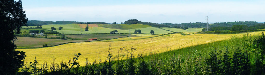 Haldon Hills