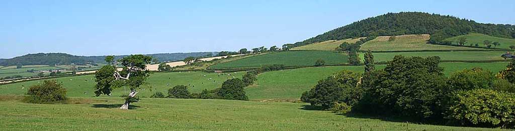 Core Hill