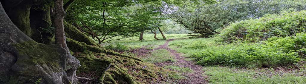 Gotleigh Moors