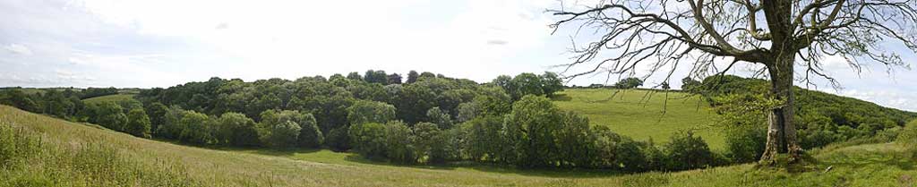 Near Witheridge