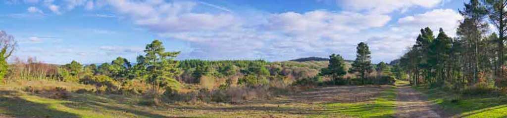 Woodbury Common