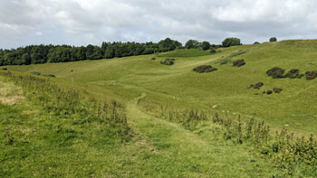 Witcombe Valley