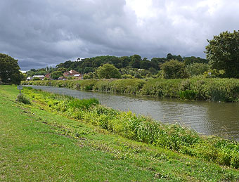 River Parrett