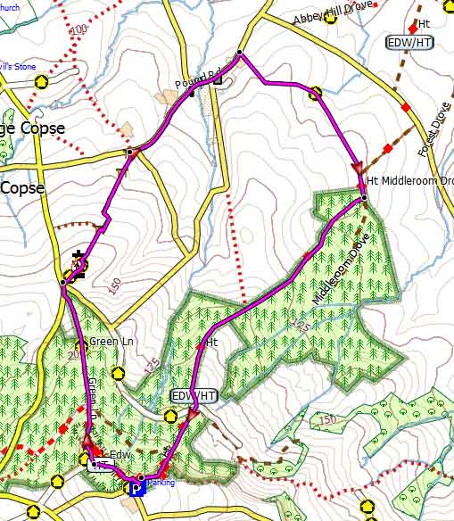 Castle Neroche walk 1